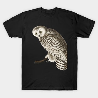 Snowy White Owl | Night owl design T-Shirt